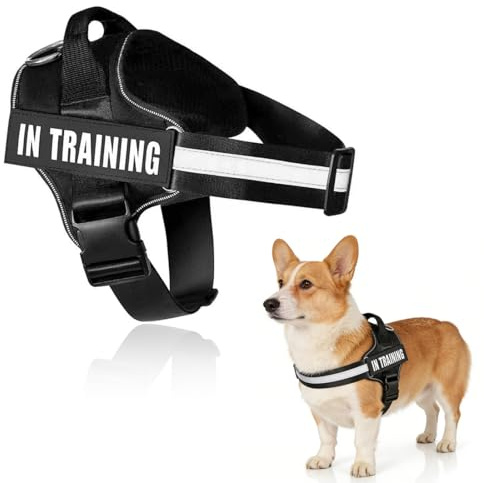 DOKRIN Arneses tipo chaleco para perros,Un arnés para perros de color negro con correa antitirón ajustable, conexión frontal, hebilla fácil de usar y diseño reflectante.