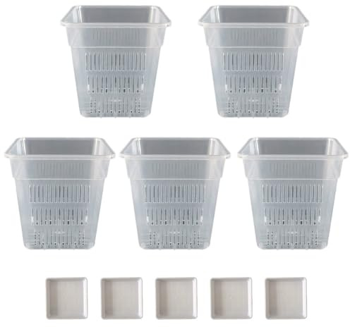 Hoppipola Lot de 5 pots à orchidées carrés en plastique transparent respirant 15 cm d'observation des racines et circulation de l'air