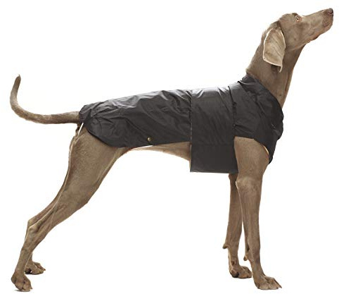 CROCI, MONTREAL, Cappotto per cani, Mantello invernale, Giacca impermeabile, Taglia 35 cm, Nero