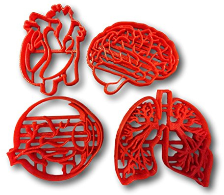 Tejido humano anatomía cortador de galletas (Juego de 4)