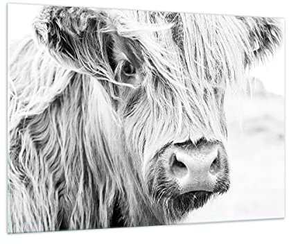 Bilder auf Glas 100x70cm Glasbild Kuh Scotch Tier Groß Wanddeko Bild im Glas Schlafzimmer Küche Deko Wandbilder Dekoration Wohnzimmer Modern Wall Decor Glasdruck Wand Kunstdruck Art GAA100x70-5129