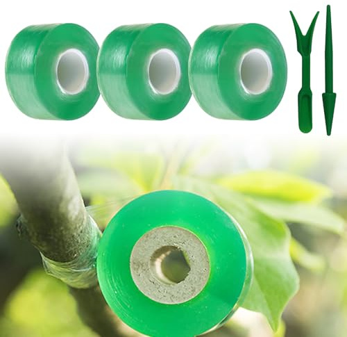 Veredelungsband Grün, Veredelungsband, 3cm x 100m Veredelungsband für Obstbäume, 3 Stück Fuß Pfropfen Dehnbare Band, Veredelungsband für Garten, Veredelungsband Pfropfband, Transparent