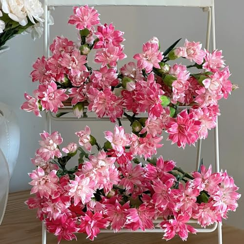 semillas de clavel perennes resistentes - Cama elevada balcón jardín decoración 750pcs