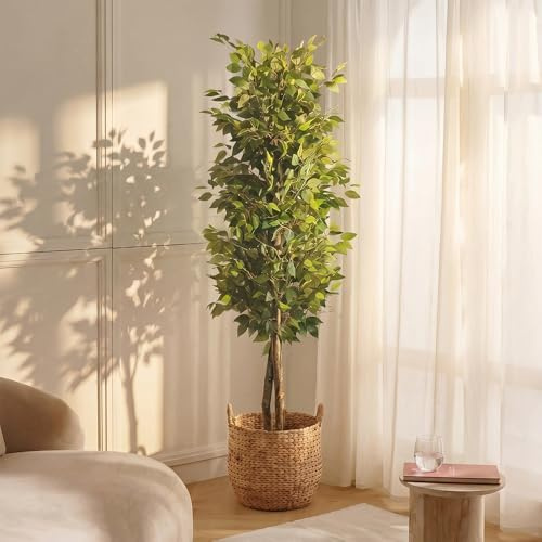 BLAINE Piante Finte da Interno Ficus 180 cm Aspetto Iperrealistico per Decorazione Casa e Ufficio Senza Manutenzione
