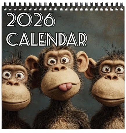Väggkalender 2026, rolig 12 månaders planerare | Tjockt papperskalender för 2026 | Organisation Planering Datum Kontor Köksdekor Familj Nyår Jul