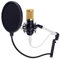 Pronomic CM-100BG Studio Großmembranmikrofon XLR-Kondensatormikrofon inkl. Popkiller Set (mit Mikrofonspinne, Etui, Windschutz, Reduziergewinde und Mikro Popschutz schwarz) schwarz