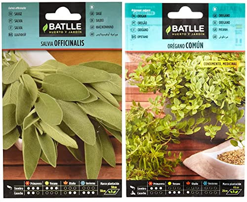 Salvia OFICINALIS & Orégano - Origanum vulgare