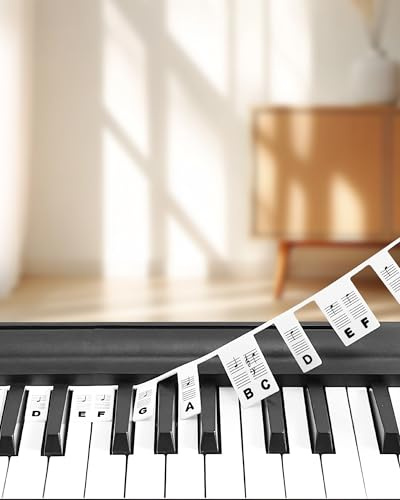 Klavier Tasten Notenhilfe aus Silikon – Abnehmbar & Wiederverwendbar, ohne Kleber – Für Anfänger & Kinder, 61/88 Tasten Keyboard & Piano – Mit Aufbewahrungsbox, Schwarz