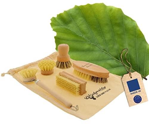 HOFMEISTER® Bürsten-Set Holz 5-teilig - Gemüsebürste, Topfbürste, Spülbürste, Ersatzkopf, Nagelbürste, Fibre & Union Naturborsten, robust & hygienisch, Reinigung bei hartnäckigem Schmutz, Buche