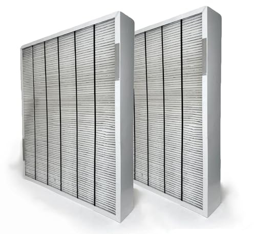 Air Filter Cartridge For Bryant/for Carrier GAPBBCAR2025/ GAPCCCAR2025 Infinity 2 PK