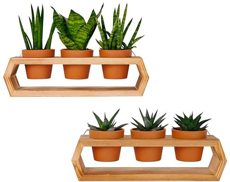 DekoBuzz Pflanzenregale aus massivem Holz mit 6 Plastik Blumentöpfen (7,4 cm) | Blumenständer im Wandvase Design | Holz Deko für Tisch, Wohnzimmer & Büro | 2er-Set