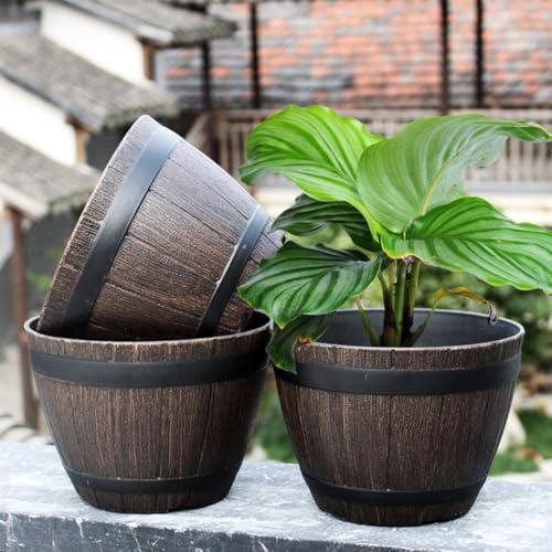 Bebykilemi Garten-Whiskey-Sukkulenten-Blumentopf mit Holzimitat, für Außendekoration und Zimmerpflanzen, 31 cm, rundes Harz für Kräuter, Farne und kleine Pflanzen (ohne Loch)