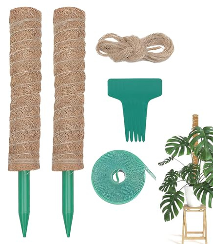 Doiyislem Supporto per Piante Monstera - Sostegno per Piante con Pali da Giardino,Supporto per Clematidi | per da Esterno Giardino Balcone Vasi Pomodori E Rampicanti