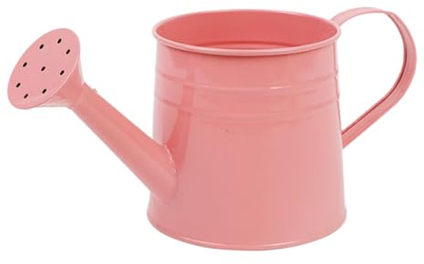Petit arrosoir en métal, pour intérieur et extérieur avec Long et poignées, arroseur de d'intérieur, arrosoir Portable, Couleur Unie pour Jardin