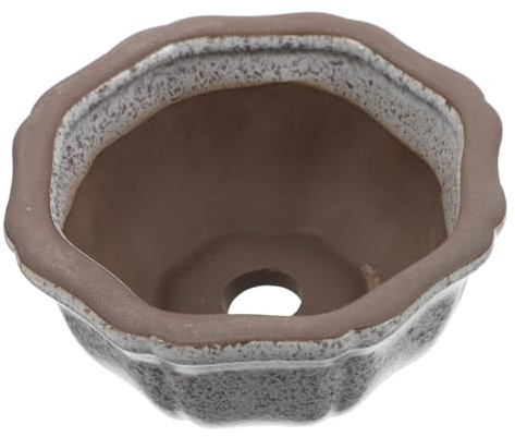 Toyvian Maceta de Cerámica para Suculentas y Bonsáis Mini Maceta con Orificio de Drenaje Color Champán Violeta para Interior y Exterior para Cactus y Plantas Pequeñas