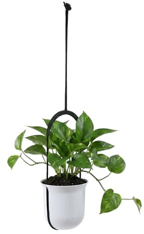 LAMELA Kunststoff Blumenampel höhenverstellbar, Ø 18 cm, 2,3 L - Weiß | Gestreiftes Muster, Schnur individuell anpassbar, Wand- oder Deckenmontage, UV- und wetterbeständig