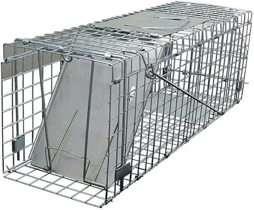 Trampa para jaula de rata, trampa humana en vivo, trampa para ratón grande para interiores y exteriores (fácil de montar y montar, malla galvanizada de larga duración)