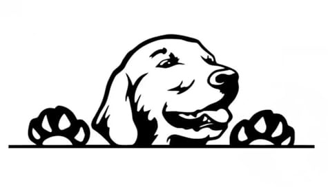 Golden Retriever Wasserfest Aufkleber, Reflektierend, Lustige Hund Peeking-Dekoration für Laptop, Kühlschrank, Auto, Stoßstange, Fenster (15cm/5.9 Inch)