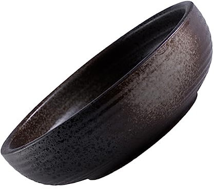 SOLUSTRE 1pezzi Ciotola in Ceramica Per Zuppa Insalata e Ramen Ciotola Ceramica Per Pasta Cereali e Contorni Adatta Per Casa e Ristorante Facile Da Pulire e Resistente