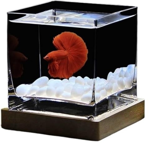 CSYQPDMBDL Kugelaquarium, Goldfischglas, Durchscheinendes Glas-Aquarium mit Deckel, kleines Fischglas for den Schreibtisch