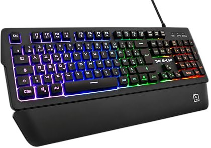 The G-Lab Keyz Palladium Clavier Gamer AZERTY Filaire USB - Rétro-Éclairage RGB LED Multicolore, Repose-Poignets Magnétique, 26 Touches Anti-ghosting, Durable - PC PS4 Xbox One (Noir)