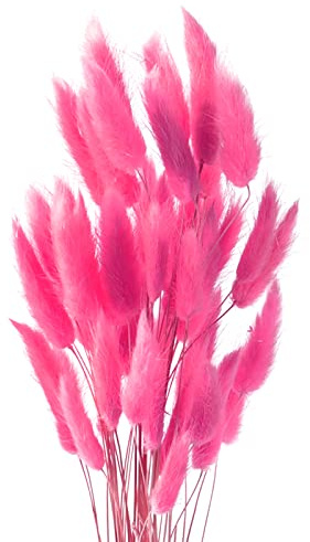 ROOBZE Pampasgras Kaninchenschwanz Gras schmücken 50 Stücke natürlich Getrocknete Blumensträuße，Deko Trockenblumen Trockenblumenstrauß für Schlafzimmer Indoor Hochzeit Home Decoration (Rot)