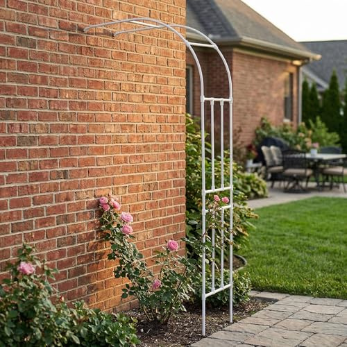 Demi-Arche De Jardin pour Plantes Grimpantes, Arche De Rose Murale en Métal, Tonnelle De Jardin, Support Robuste en Acier Galvanisé pour Patio Et Cour(Wit,220x240cm)