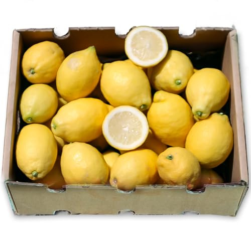 Caja de Limones | Comprar Limones Directos del Agricultor, Cultivados en Castellón, Recién Recolectados, Frescos, Jugosos y Sin Químicos (4 Kg)