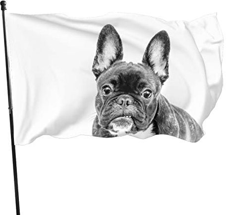NIBABAEU Dekorative Hausflagge, Hofbanner, französische Bulldogge, Druck, Gartenflaggen, hängende Flagge, Dekoration, 90 x 150 cm