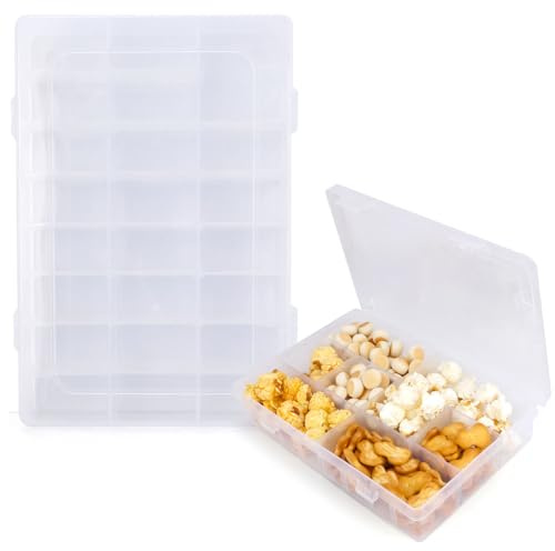 Leislam Aufbewahrungsbox Mit Deckel, Organizer Box, 24 Ablagefächer, 19.2 x 13 x 3.5 cm, Klarer Kunststoff-Speicherbox mit Flip-Top-Verschluss