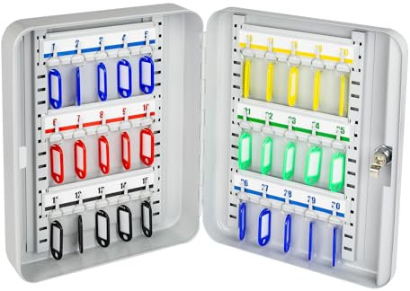 HMF 13030-07 - Caja para llaves con cerradura (30 ganchos, 30 x 24 x 7,5 cm), color gris claro