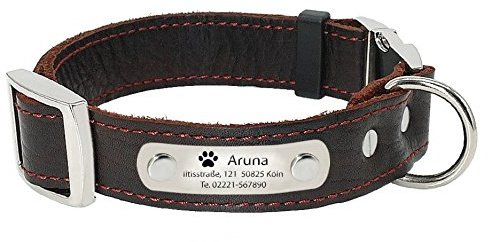 aplusashop ID Echtleder Halsband mit Edelstahlplatte + Gravur nach Wunsch Hunde in Braun S, M, L