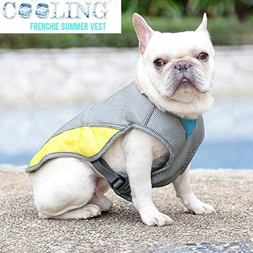 Hifrenchies Kühlweste Geschirr für Hunde Französische Bulldogge Sommer Kühlweste Outdoor Hundejacke Sicherheit Reflektierende Weste Kühljacke Sonnenschutz Haustier Mantel Weste für Frenchie (L)