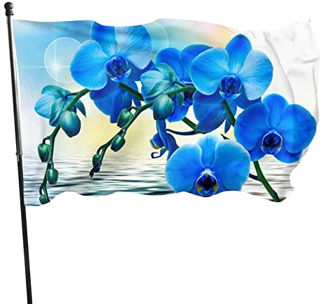 Flagge, 90 x 152 cm, schöne Orchidee über Wasser, lebendige Farben, Outdoor-Sport-Banner, lichtbeständiges Polyester, Hofflagge mit 2 Messingösen für drinnen und draußen