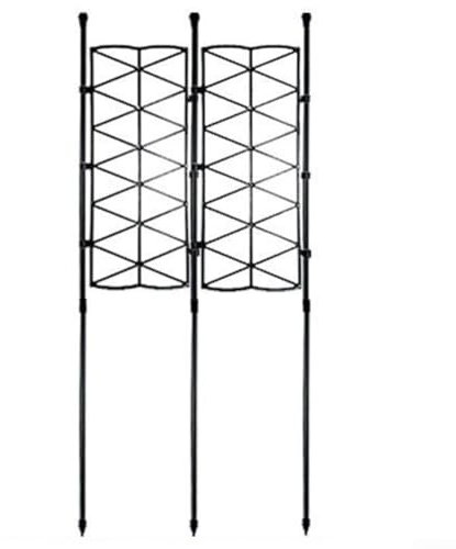 LVYXON Piquets robustes et fiables pour une croissance saine de la vigne - Soutien durable (A)