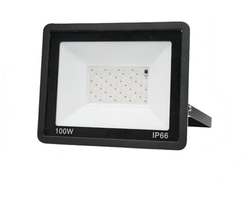 100W RGB éclairage LED AC200-265V IP66 projecteur étanche extérieur paysager for jardin Patio cour LED d'extérieur