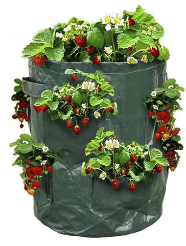 Ose Sac à fraisiers - Sac de Plantation pour Fraises - X2 Vert