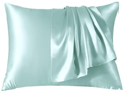 THXSILK SeidenKissenbezug 80x80-100% Maulbeerseide für Haar und Haut - Hypoallergen mit Versteckter Reißverschluss - 22 Momme Doppelseitige Seide 1 Stück Hellblau
