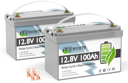 TCBWORTH LiFePO4 100Ah 12.8V Batterie 2 Pakete, Lithium Batterie 100A BMS, 4000+ Zyklen Deep Cycle akku, Perfekter Ersatz für Blei-Säure Batterien für wohnmobil, Camping, Solar Home Systeme, Boot