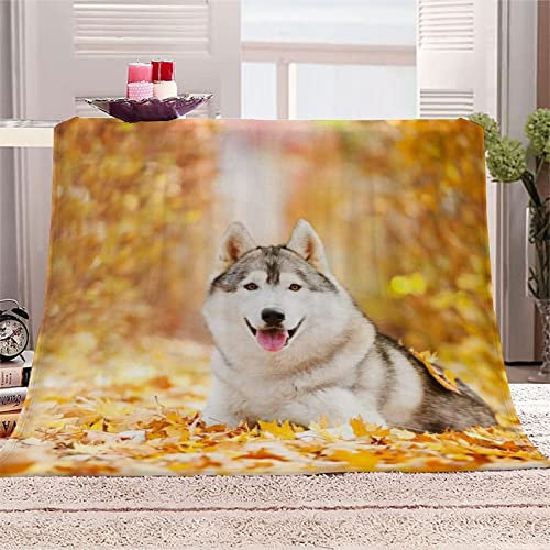 okoikfc Kuscheldecke Flauschig 220x240 cm 3D Haustier Decke Fleecedecke - Wohndecke, Sofadecke XXL, Decke Couch Blanket, Kuscheldecke Große, Sofa überwurfdecke