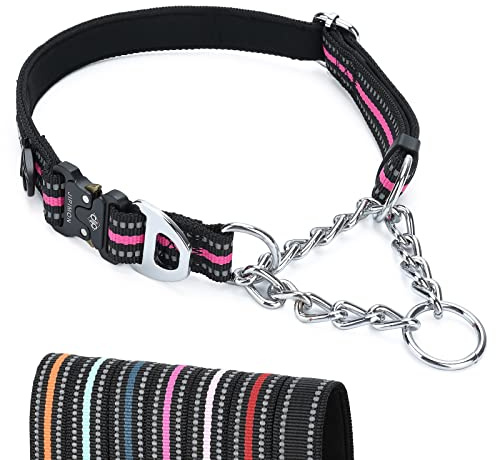 JIPIMON Martingale Collar for Dogs, Reflective Stainless Steel Chain Safety Adjustable Martingale Collar for Small Medium Large Dogs (Large, Purple)