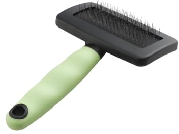 Ferplast Cepillo Carda para Gatos - Pelo Medio y Largo - Cerdas Inclinadas y Puntas Redondeadas, Acero Inoxidable - Mango Ergonómico Suave - Peine Extra Incluido - Tamaño L, Verde