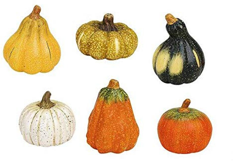 Davartis - Kürbis Set aus Ton - 6er Set - Herbst Halloween Dekokürbis