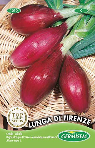 Germisem Lunga di Firenze Semi di Cipolla 3 g