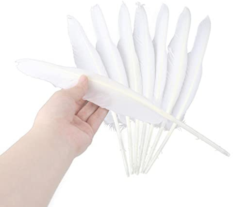 ORGEFY 50 Stück natürliche Gänsefedern zum Selbermachen von Schmuck, 25–30 cm, Federn, Hochzeit, Handarbeit, Dekor, Federn zum Basteln, Weiß, 50 Stück