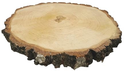 Birkenscheibe rund ca. 35-40 cm (Dicke: 3,0 cm) Holzscheiben Birkenstamm Birken Holz Dekoration Hochzeit Baumscheiben