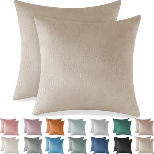 Ystyle Funda Cojin Sofa 60x60 Decorativa Hogar de Terciopelo para Salon Cama Jardin Dormitorio Cojines Decorativos de 2 Fundas para Almohadones Cojin Silla con Cierre Modernos, Camel