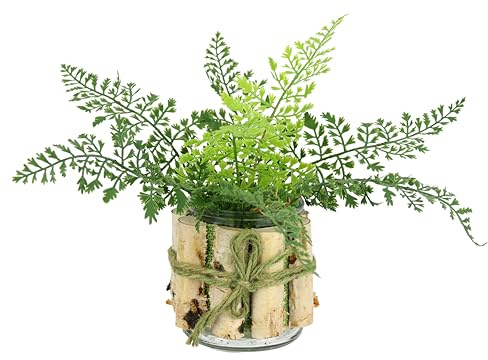 Künstlicher Farnbusch im Topf Deko für das Bad Fenster 23x26x26cm Farn Topfpflanze Büsche Pflanzen Blumen wie echt Grünpflanze Kunstpflanze Kunstblume exotische Waldpflanze Zimmerpflanze, Glastopf