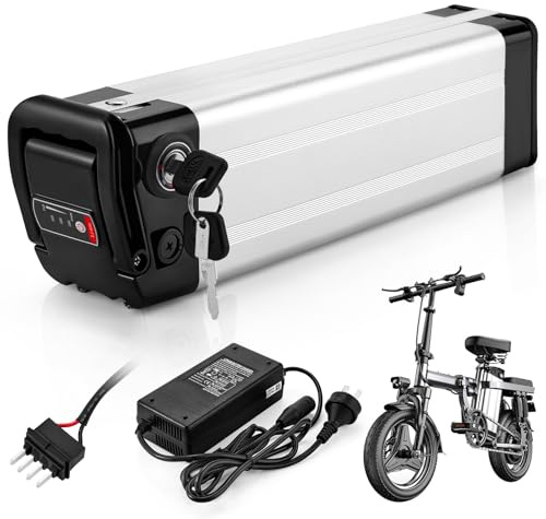 X-go Ebike Batería, 36V 10AH batería de Bicicleta eléctrica e-Bike batería de Litio de 4 Puertos con Cargador, Cierre Seguro, luz indicadora led para 350W 250W 100W Motor (36V 10AH 4 Port)