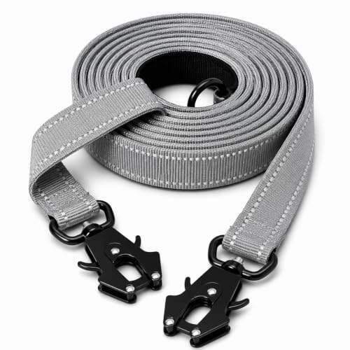 Lina Pet Hundeleine 3m x 2,5 cm, Verstellbare Doppelleine aus Nylon mit Aluminium-Karabiner, Führleine Reflektierend für große und mittelgroße Hunde